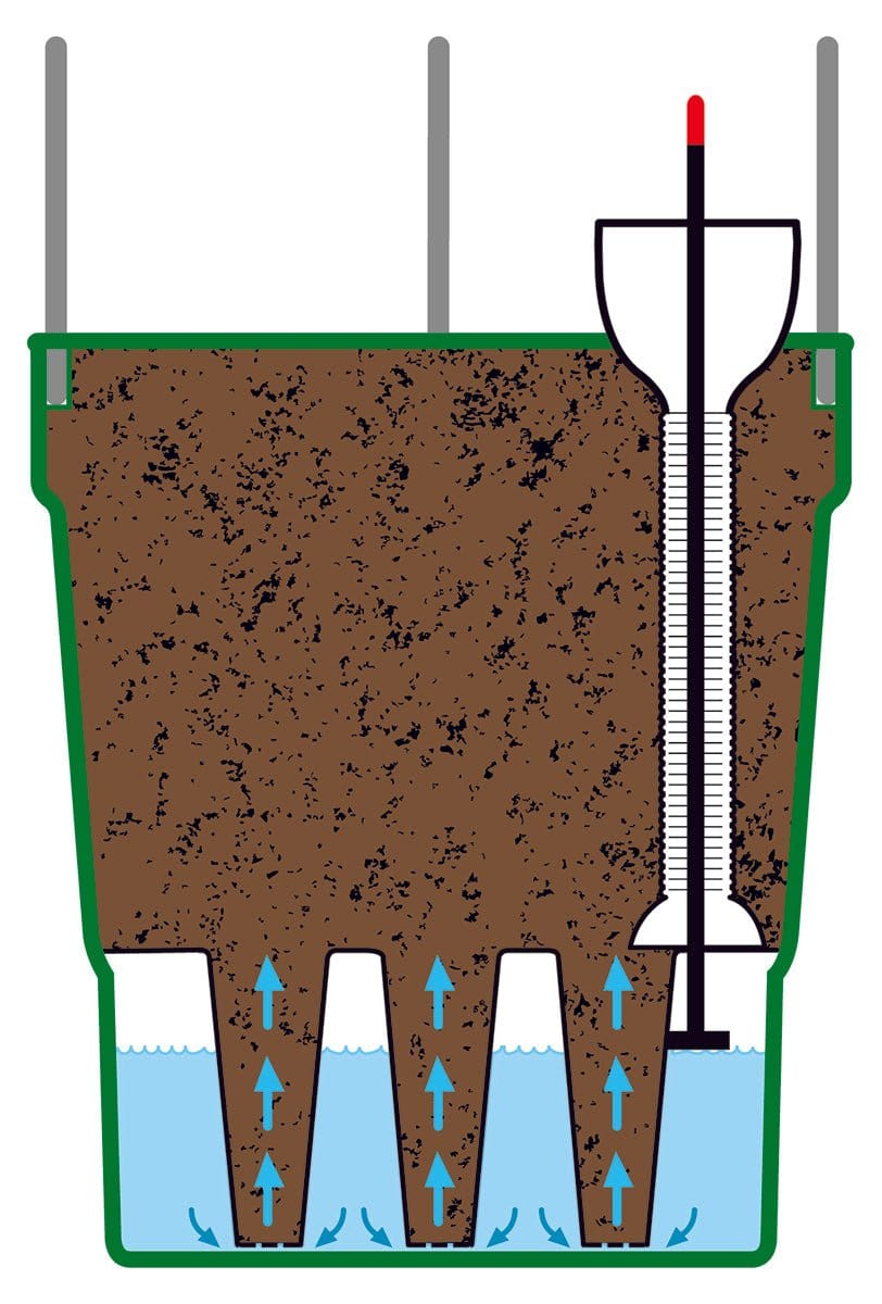 Grotårn, grøn - Blomsterverden